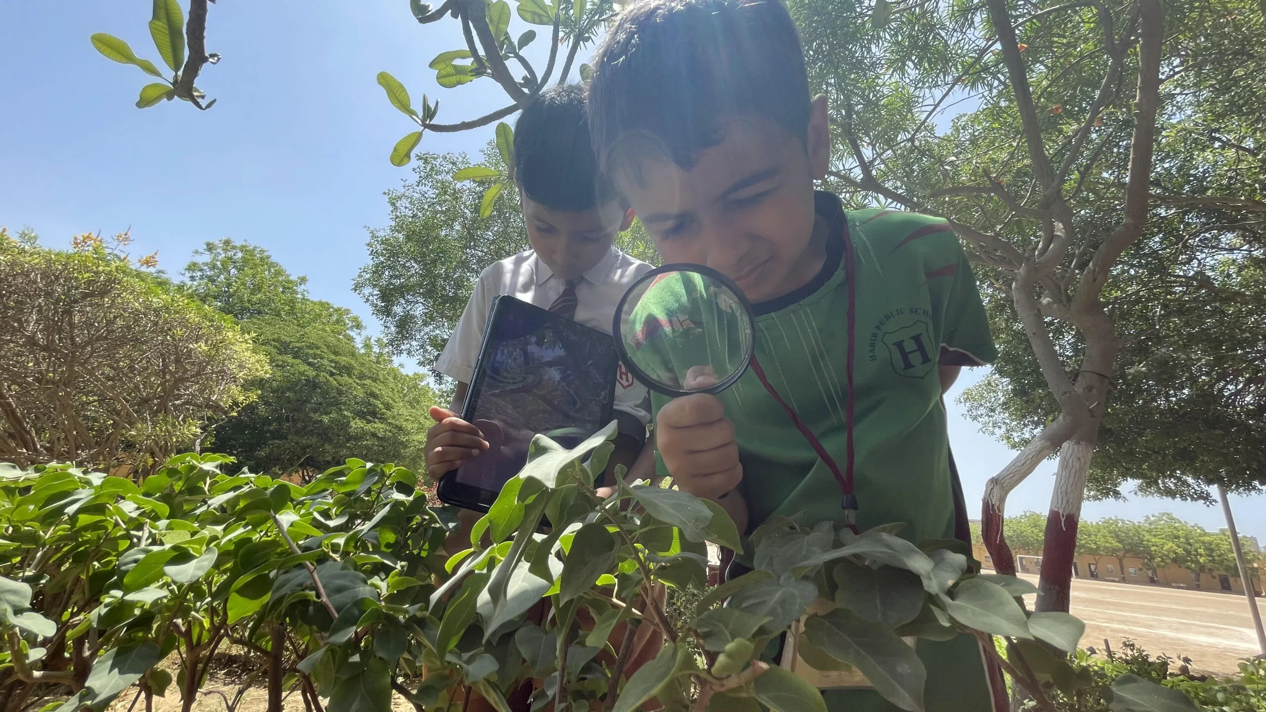 Plantation Activity by Pre-Juniors Section Students at HPS