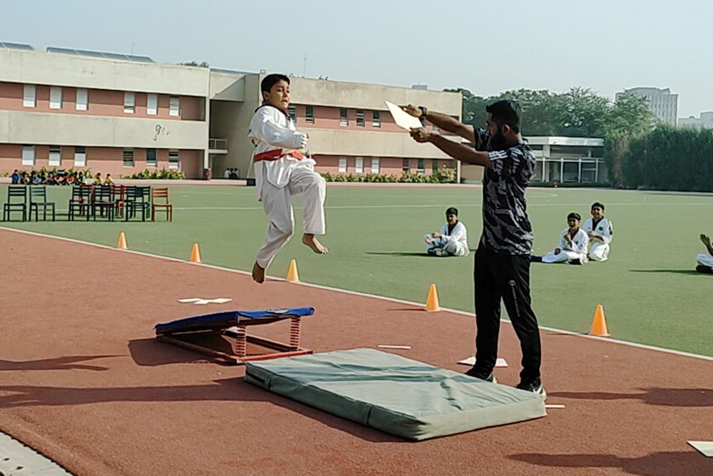 Taekwondo
